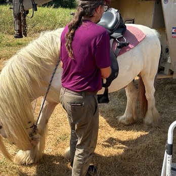Bella Peregrina Ranch - Horseback Riding Near Me - Pflugerville, Texas Bella Peregrina Ranch - Horseback Riding Near Me - Pflugerville, Texas