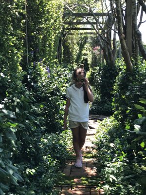 The Madoo Conservancy by null