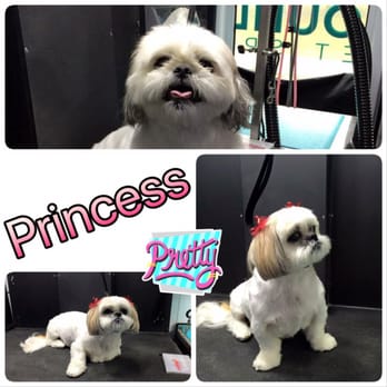 MetroHound Mobile Pet Spa - Pet Groomers Near Me