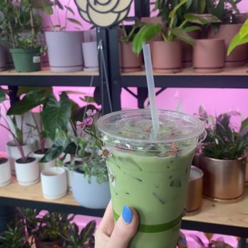 Bloomsgiving - Iced rose matcha latte - Florists Near Me - Mountain View, California Bloomsgiving - Iced rose matcha latte - Florists Near Me - Mountain View, California