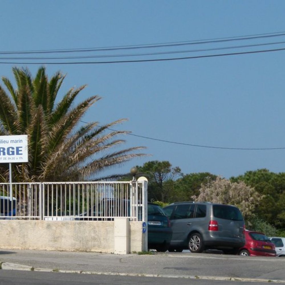 TOP 10 BEST Psychologue near La Pointe Rouge, Marseille, France - Updated  2026 - Yelp