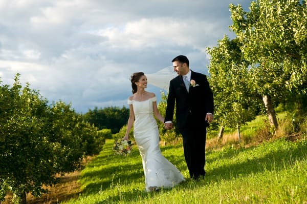 Alyson's Orchard by null