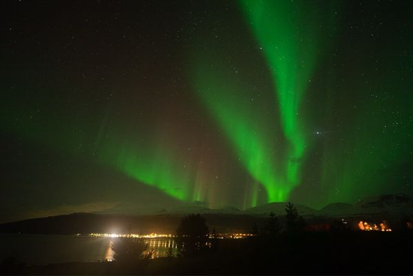 Chasing Lights by null