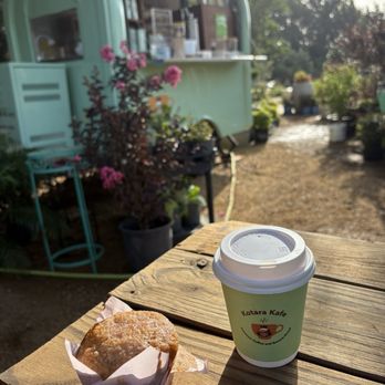 Kotara Kafe - Bagels Near Me - Coppell, Texas Kotara Kafe - Bagels Near Me - Coppell, Texas