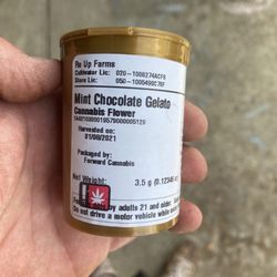 Forward Cannabis - The company that made this are you kidding me??