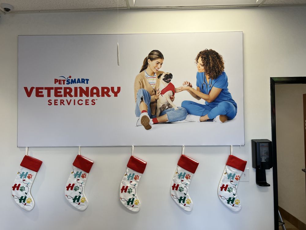 PETSMART VETERINARY SERVICES 17 Photos 33963 Doheny Park Rd, San