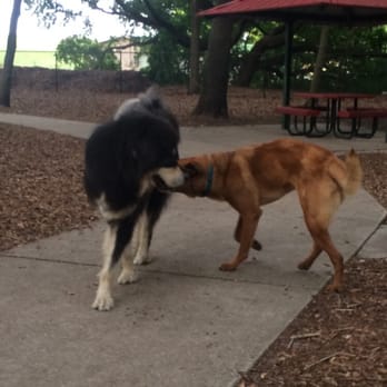 West Orange Dog Park - Becoming best friends with the beast dog! - Dog Parks Near Me - Winter Garden, Florida West Orange Dog Park - Becoming best friends with the beast dog! - Dog Parks Near Me - Winter Garden, Florida