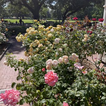 Central Park - Parks Near Me - San Mateo, California