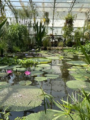 Oxford Botanic Garden by null