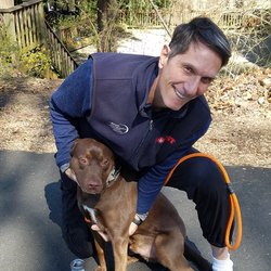 Bonafido Pet Services - Jango is happy to be going for a walk!