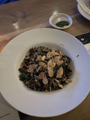 Cafe Ornithology by null