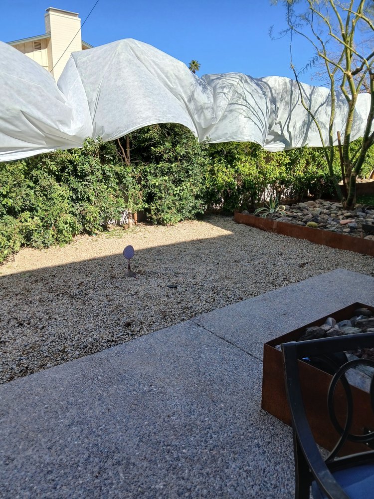 Greenest Landscaping - tree service in Mesa, AZ