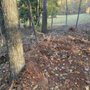 Photo of Red Oak Tree Service