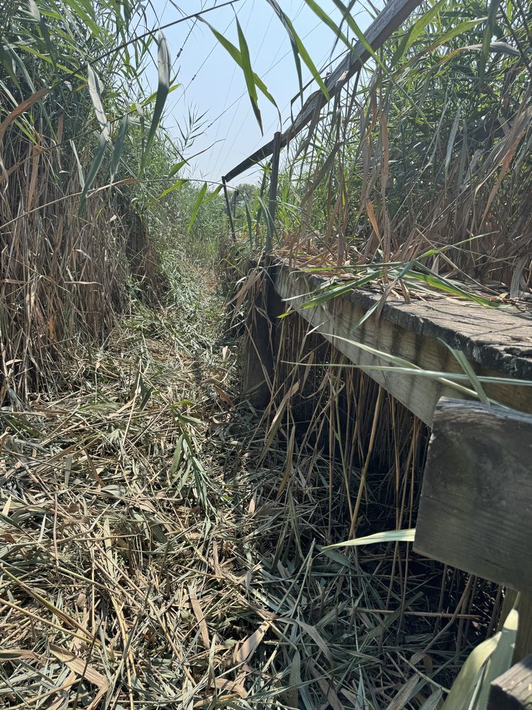 Slide of Silk City Handyman