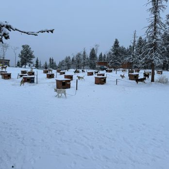 Sky High Wilderness Ranches - Tours Near Me - Whitehorse, Yukon