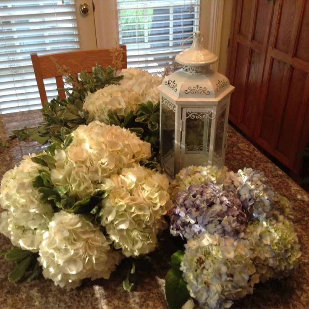 Flowers from our wedding one week later... Flowers from our wedding one week later...