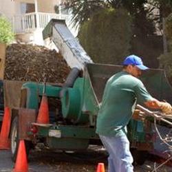 Hollywood Tree Service