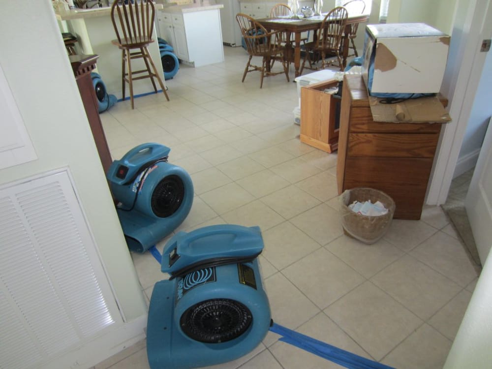 Slide of Damex Corporation