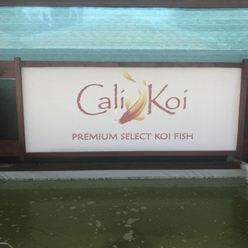 Cali Koi - Local Fish Stores Near Me - North Hollywood, California Cali Koi - Local Fish Stores Near Me - North Hollywood, California