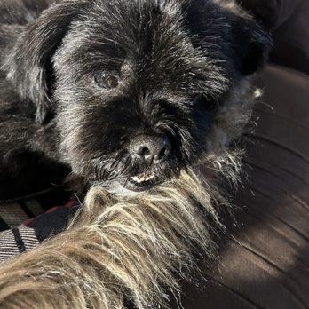 PetSmart - Pet Stores Near Me - Portland, Oregon