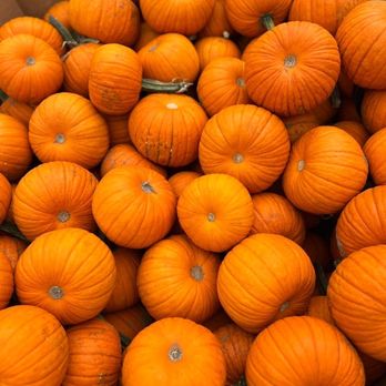 Reillys Produce - Pumpkins - Grocery Near Me - Jim Thorpe, Pennsylvania Reillys Produce - Pumpkins - Grocery Near Me - Jim Thorpe, Pennsylvania