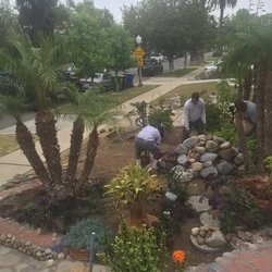 Climbers Tree Services - Climbers Tree Services