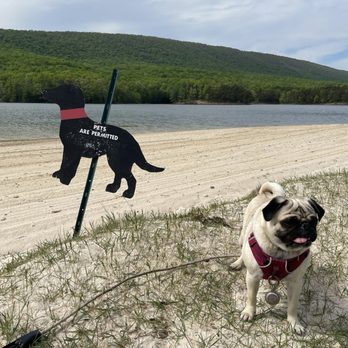 Rocky Gap State Park - Pets are allowed!! - Parks Near Me - Flintstone, Maryland Rocky Gap State Park - Pets are allowed!! - Parks Near Me - Flintstone, Maryland