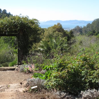 UC Botanical Garden at Berkeley - View from the Old Roses Garden out toward the bay and the Golden Gate Bridge. - Botanical Gardens Near Me - Berkeley, California UC Botanical Garden at Berkeley - View from the Old Roses Garden out toward the bay and the Golden Gate Bridge. - Botanical Gardens Near Me - Berkeley, California