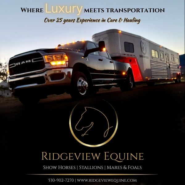 Ridgeview Equine Transport - equestrian in Carson City, NV