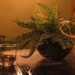 The Botanica Bar