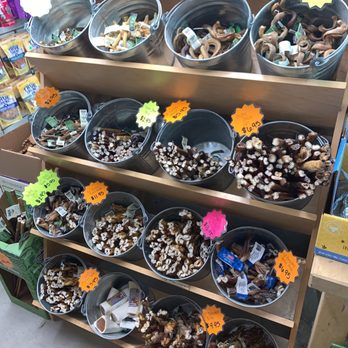 Feed Barn - Pet Services Near Me - Capistrano Beach, California Feed Barn - Pet Services Near Me - Capistrano Beach, California