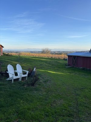 Terra Vina Wines Vineyard by null