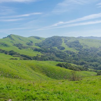 Wildcat Canyon Regional Park - Parks Near Me - Richmond, California Wildcat Canyon Regional Park - Parks Near Me - Richmond, California