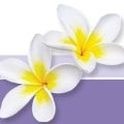 Island Dental - Maui's Finest Dental Center