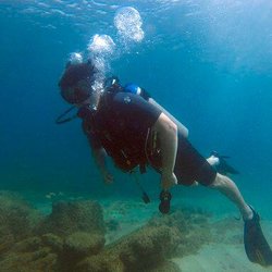 Try Scuba Diving