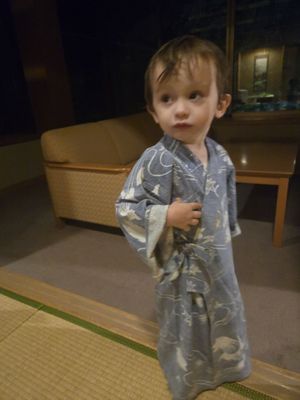 Nishiyama Onsen Keiunkan by null