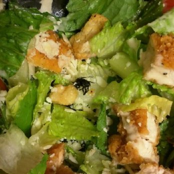 Wendy's - Giant fly in my Caesar salad! Disgusting! - Fast Food Near Me - San Lorenzo, California