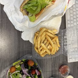 halal gyro, fries, and side salad halal gyro, fries, and side salad