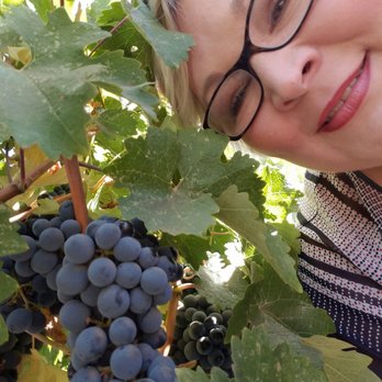 Napa Bee Driven - Wine Tours Near Me