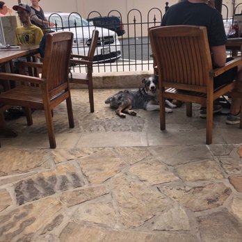Altdorf Biergarten - Dog friendly patio. Lots of dogs...always. - German Near Me - Fredericksburg, Texas Altdorf Biergarten - Dog friendly patio. Lots of dogs...always. - German Near Me - Fredericksburg, Texas