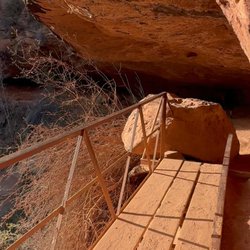 Canyon Overlook Trail - Rees's Roots - Overlook Trail - Zion National Park Utah