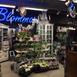 Blommor T Gullmarsplan