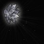 Photo of Mystic Lotus Moon