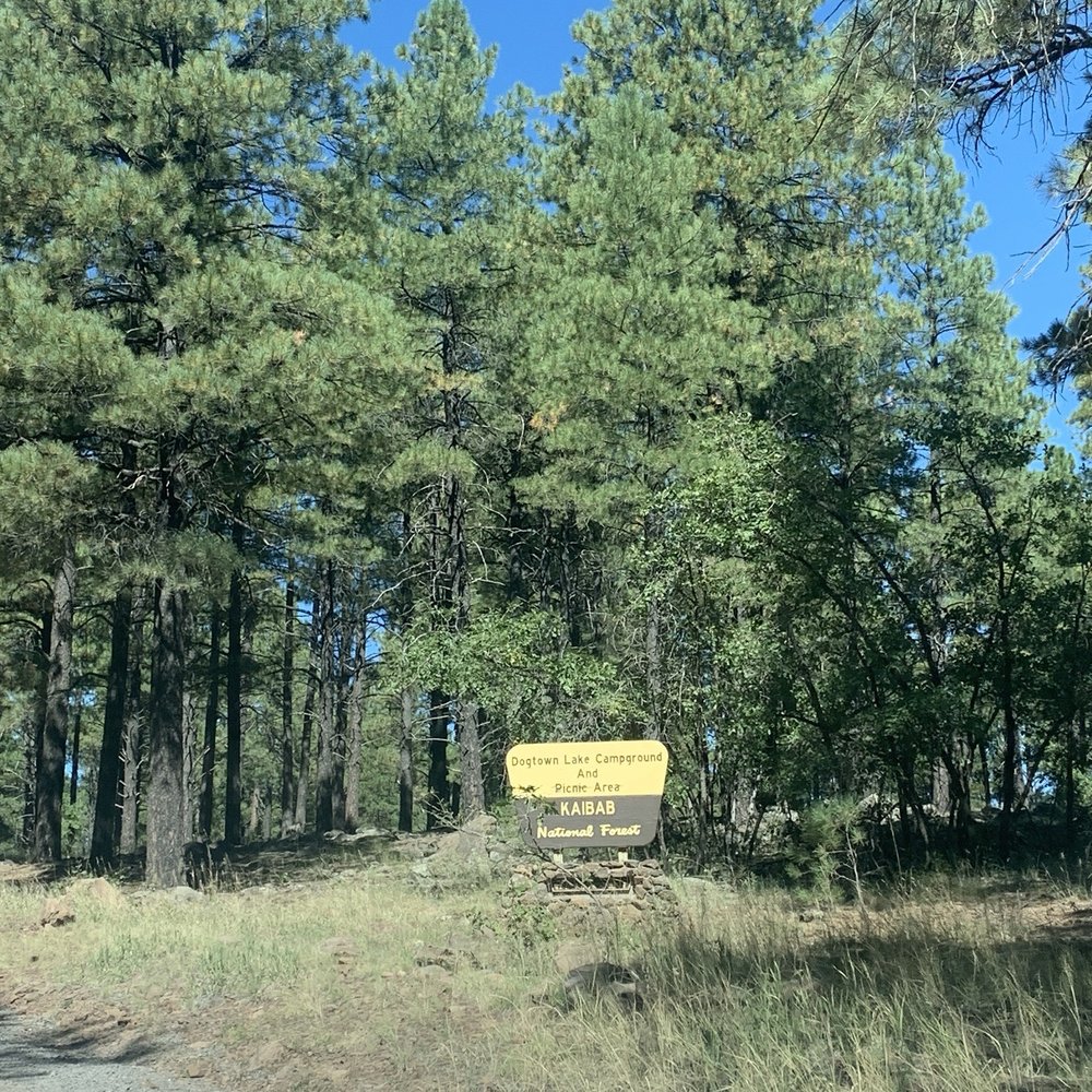 Dogtown Lake Campground - Dogtown lake!! Worth the trek - Campgrounds Near Me - Williams, Arizona Dogtown Lake Campground - Dogtown lake!! Worth the trek - Campgrounds Near Me - Williams, Arizona