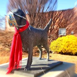 Jim The Wonder Dog Memorial Gardens