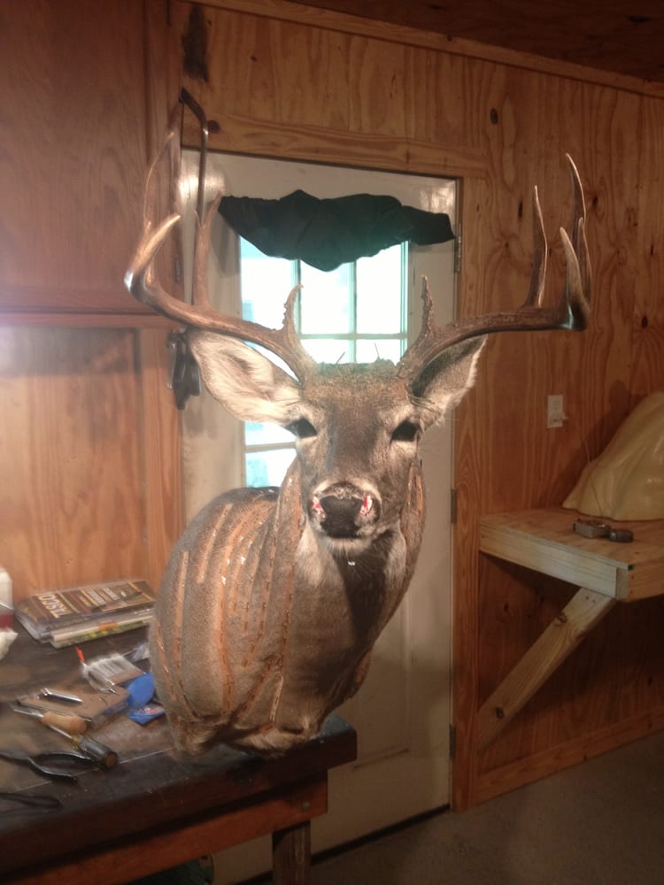 Sharp Taxidermy - taxidermy in Franklinton, LA