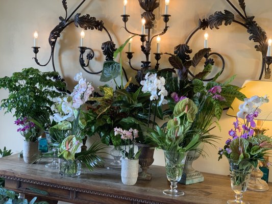 Castello di Casole, A Belmond Hotel, Tuscany by null