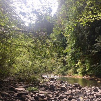 Old Salmon River Trail - Hiking Near Me - Clackamas, Oregon