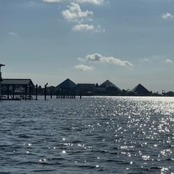 Galveston Duck Tour - Tour