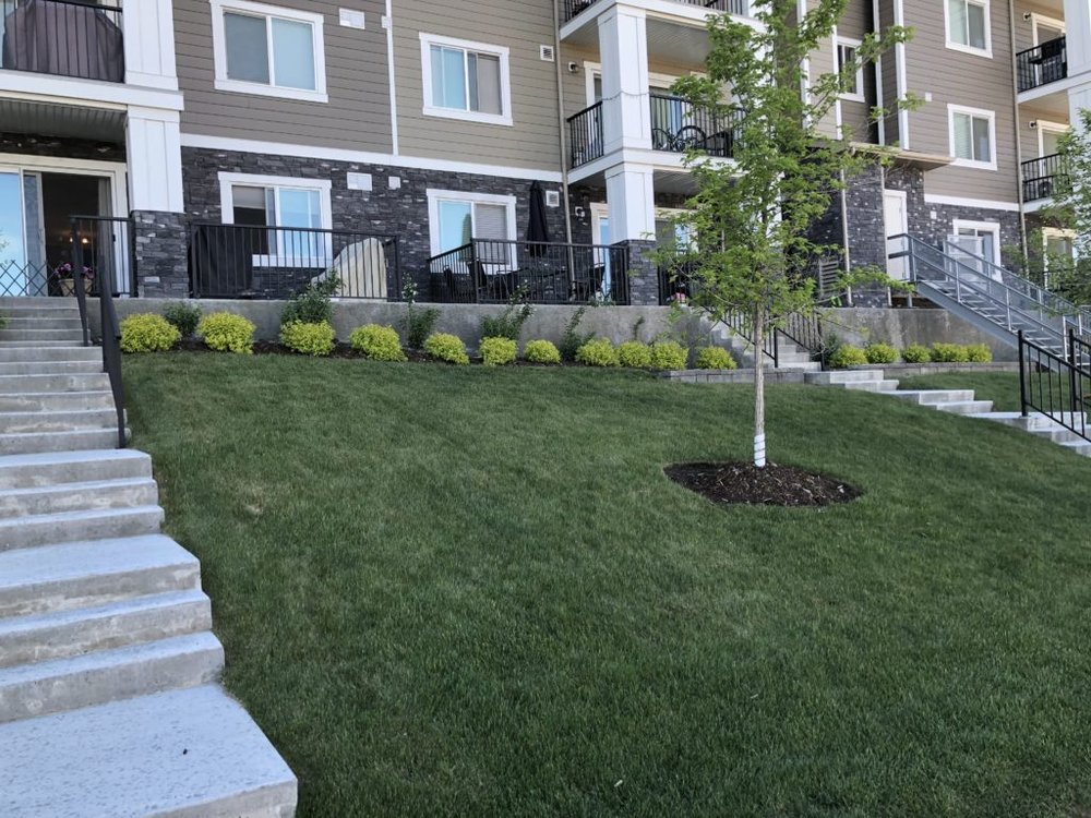 TOPNOTCH LANDSCAPING Updated October 2024 23 Photos Calgary